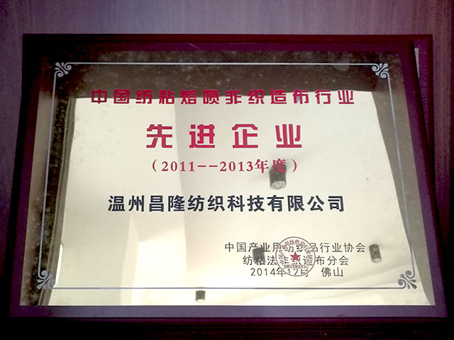 中國紡粘熔噴非織造布行業(yè)－先進(jìn)企業(yè)