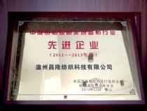 中國紡粘熔噴非織造布行業(yè)－先進(jìn)企業(yè)