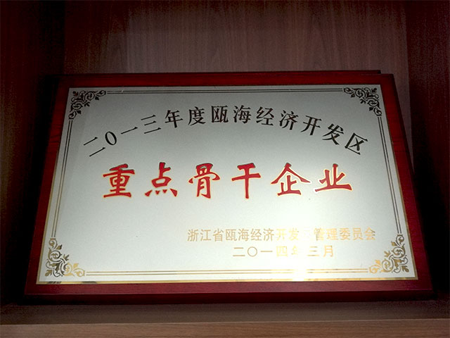 重點(diǎn)骨干企業(yè)